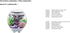 BiOrb 46133.0 Sea Shell Set 3 White Aquariums...