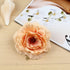 Womens Rose Flower Hair Clip Flower Brooch for Bridal Headpiece,Flamenco Dancer (Camellia 12Pcs)...