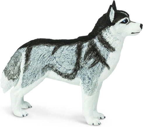 Safari Ltd. Siberian Husky Figurine - Detailed 3.25" Plastic Model Figure - Fun Educational Play Toy for Boys, Girls & Kids Ages 3+...