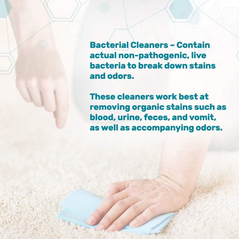 Dr. Mercola, Pet Stain and Odor Remover, 24 FL. oz (1.5 PT) (709 mL), Safe for Pets and Children...
