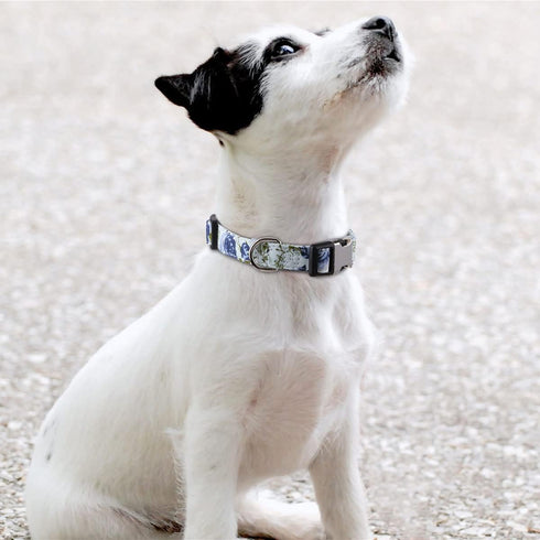 Girl Dog Collar for Small Medium Large Dogs, Cotton Pet Collar, Flowers Daisy and Rose Patterns with Quick-Release Buckle (Rose Blue, M)...