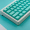 114 Keys PBT Doubleshot Keycaps Cherry Profile Mint Blue Keycap Set Fit for Cherry Mx Switches Alice Keyboard Mechanical Keyboards...