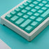 114 Keys PBT Doubleshot Keycaps Cherry Profile Mint Blue Keycap Set Fit for Cherry Mx Switches Alice Keyboard Mechanical Keyboards...