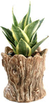 Funny Planter Head Face Plant Pot with Drainage Hole Resin Succulent Plant Holder Pencil Holder Desk Organizer Office Garden Gift (Smile Face)...
