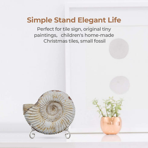 TR-LIFE Plate Stands for Display - 4 Inch Plate Holder Display Stand + Metal Easel Stand for Picture Frame, Decorative Plates, Photo, Book, Collec...