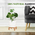 Small Wood Plant Stand, Mid Century Modern Succulents Plant Pot Holder Decorative Planter Stand for Small Indoor Plants (Natural)...