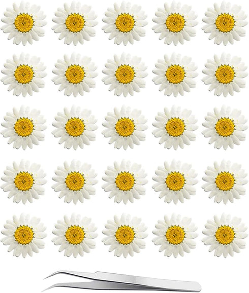 60Pcs White Dried Daisy Pressed Flowers - YouthBro 60Pcs Real Nature Flowers Set for Resin DIY Jewelry Candle Soap Vase Making Nail Card Scrapbook...