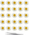 60Pcs White Dried Daisy Pressed Flowers - YouthBro 60Pcs Real Nature Flowers Set for Resin DIY Jewelry Candle Soap Vase Making Nail Card Scrapbook...