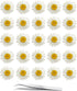 60Pcs White Dried Daisy Pressed Flowers - YouthBro 60Pcs Real Nature Flowers Set for Resin DIY Jewelry Candle Soap Vase Making Nail Card Scrapbook...