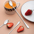 9 Inch Long Handle Iced Teaspoon, DaKuan Set of 10 Stainless Steel Iced Teaspoon for Iced Tea, Coffee, Cocktail, Milkshake, Cold Drink...