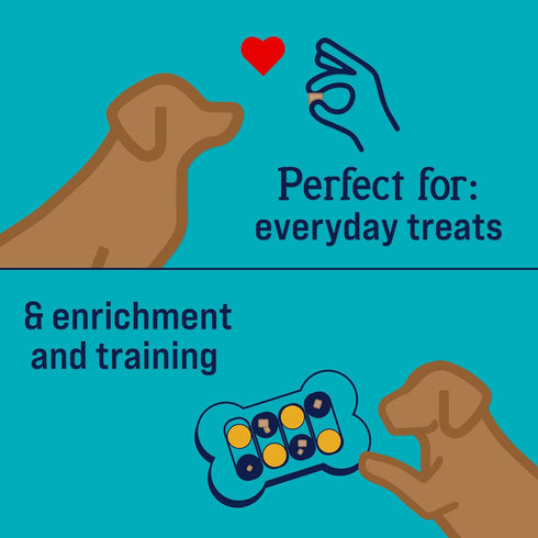 Stewart Freeze Dried Dog Treats, Healthy Gut Chicken & Vegetable, Gut Health Probiotics, Grain Free, 8 Ounce Resealable Pouch, Made in USA...