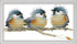 Maydiyer Cross Stitch Kits Stamped Full Range of Embroidery Starter Kits for Beginners DIY 11CT Easy Patterns Embroidery Kit for Girls-Three Birds...
