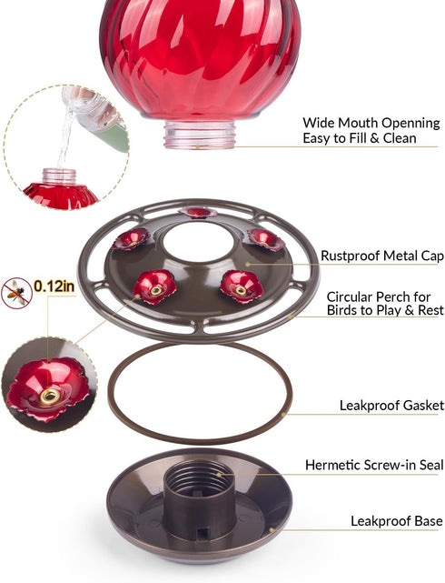 Hummingbird Feeder, Auslar 26 Ounces Glass Hummingbird Feeders for Outdoors Hanging Ant and Bee Proof, Ant Moat & 5 Flower Feeding Ports, Rustproo...