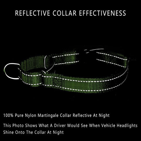 Plutus Pet Reflective Martingale Collar with Buckle - Durable and Adjustable Training Collar for No Pulling, Dog Choker Collar for Small Medium La...