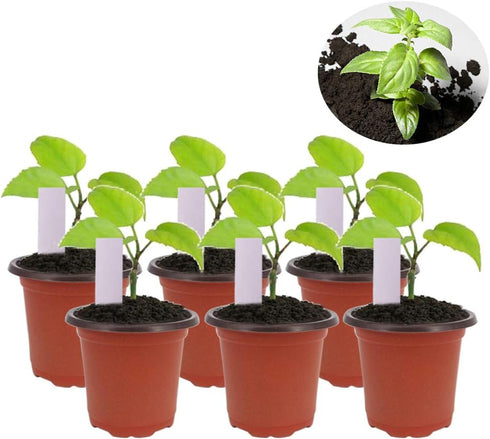 100 Pcs 4" Plastic Seedlings Plants Nursery Pots with 100 Pcs Waterproof Plastic Plant Tags and 2Pcs/Set Transplanting Digging Mini Tools...