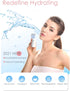GIVERARE Nano Facial Steamer, Handy Mini Mister, USB Rechargeable Mist Sprayer, 30ml Visual Water Tank Moisturizing&Hydrating for Face, Daily Make...
