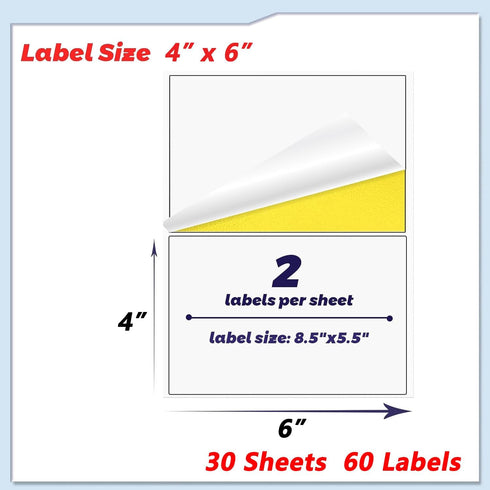 Labels for Storage Bins, Matte Removable Storage Bin Labels, 6 X 4 Inch Tear Resistant Large Labels for Organizing Storage Bin, White Blank Box La...