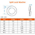 M8 Lock Washer Spring Lock Washer, Stainless Steel 18-8 (304), Black Finish, 100 PCS...