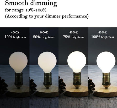 KGC LED Edison Globe Light Bulbs, Neutral White 4000K CRI 90, LED Filament Light Bulb, 5W Equivalent to 40W, G25(G80) Dimmable, Milky Glass, Bathr...