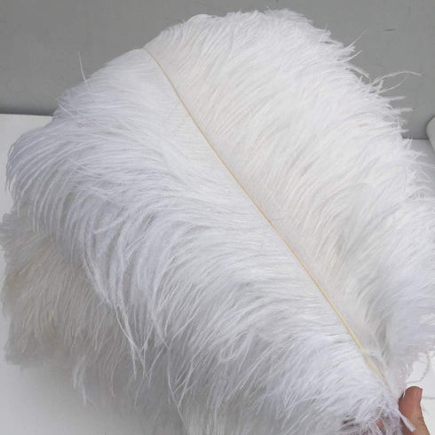 Shekyeon White 16-18inch 40-45cm Ostrich Feather DIY Craft Feather Pack of 10...