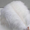 Shekyeon White 16-18inch 40-45cm Ostrich Feather DIY Craft Feather Pack of 10...