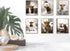MINI ZOZI Cow Bathroom Decor 8x10 6PCS Canvas Pictures Wall Decor Funny Highland Cow Prints Art Rustic Farmhouse Modern Style Restroom Bath Painti...