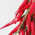 5 Bunches of Lifelike Artificial Chilis - Home Party Kitchen Decoration, Hotel Store Display, Photography Props...