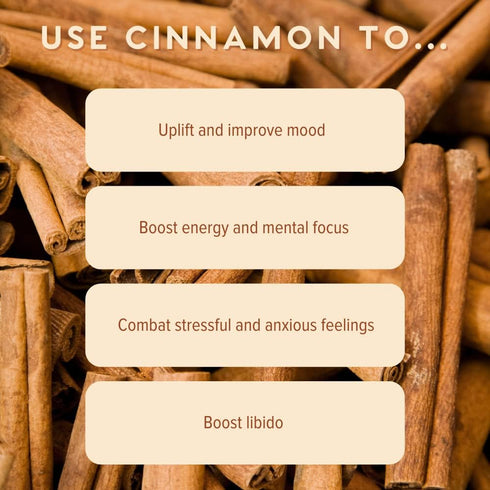 MOXE Cinnamon Essential Oil Nasal Inhaler, Therapeutic No-Mess Aromatherapy, 100% Pure and Undiluted, Stimulates Focus & Concentration, Relieves T...
