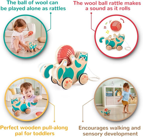 Hape Wooden Walk-A-Long Kitten Pull Toy| Roll & Rattle Push Pull Toy for Toddler| Montessori Toys for Walking Toddlers, Green...