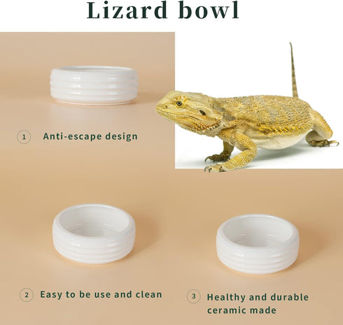 Reptile Food Bowls -Ceramic Round Reptile Water Food Dish, Pet Food Bowl for Lizards, Small Snakes, Young Bearded Dragons, Gecko Tortoise Spider (...
