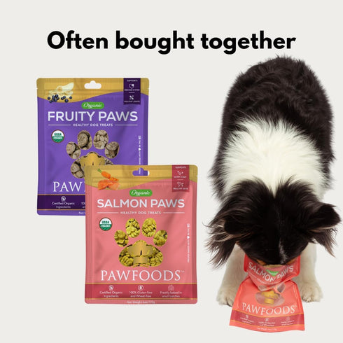 Treats Fruity Paws - Organic Dog Treats Healthy, Low Calorie Puppy Treats for Joint and Hip Support, Tasty Natural Treats for All Dogs, Only 5 Cal...