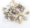 Welecom 1000 Pcs Natural Shell Buttons 10mm 2 Hole Mother of Pearl Round Shell Buttons for Cloth Sewing Craft Buttons...