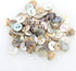 Welecom 1000 Pcs Natural Shell Buttons 10mm 2 Hole Mother of Pearl Round Shell Buttons for Cloth Sewing Craft Buttons...