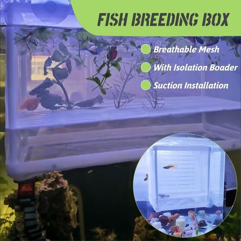Fish Breeder Box Fish Aquarium Isolation Box Fish Divider Breeder Box with Suction Cups for Baby Fishes Shrimp Clownfish Guppy White...