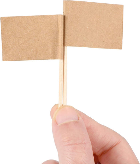 Pangda 100 Pieces Blank Toothpick Flags Cheese Markers Food Labels for Party Buffet Cheese Labels for Charcuterie Board Food Board Accessories Fla...