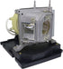 20-01032-20 Replacement Projector Lamp for Smartboard Unifi 55 Unifi 65 UF55 UF65, Lamp with Housing by CARSN......