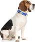 Dog Collar, Adjustable Dog Collars for Medium Dogs, Cute Puppy Collar for Boy and Girl Dogs, Soft Nylon Pet Collar with Quick Release Buckle for W...