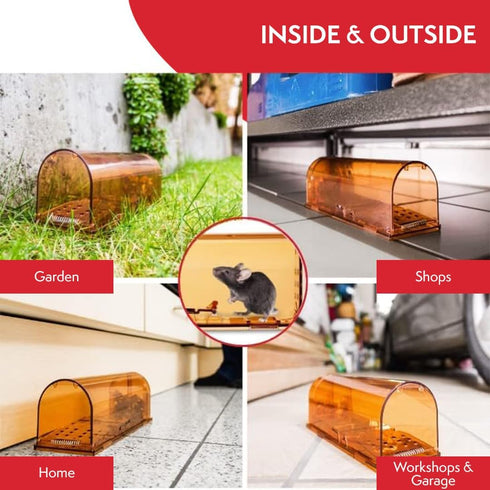 PATTLER® | 2 Humane Mouse Trap for Indoor and Outdoor Home | Mechanical Reusable Live Mouse Traps Catch and Release Mice from Garden, Garage, Atti...