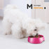 Flexzion Slow Feeder Dog Bowl Interactive Dog Puzzle Bowl, Anti-Choke, Non-Slip Slow Eating Dog Bowl Fun Pet Feeder Anti-Bloat Maze Bowl Dishwashe...