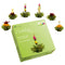 Creano Tea Flowers Mix - Blooming Green Tea, Fruity Flavoured (Roses in 6 Varieties), Flowering Set...