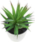 LJY 2 Pieces Realistic Artificial Faux Succulent Yucca Vera Greenhouse Small Plants Unpotted for Home Garden Decoration (Spring Green)...