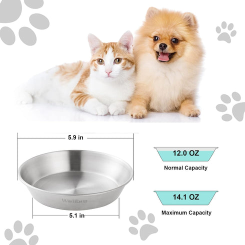 Cat Food Bowls, 2 Pcs Stainless Steel Cat Food and Water Bowls, Whisker Fatigue Shallow Cat Dishes, Small Dog Puppies Fat Faced Cat Kitten Supplie...