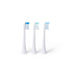 Elements Toothbrush Heads - Compatible with Elements Sonic Toothbrush, Small, Firm Bristles, Small (Pack of 3)...