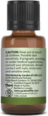 Garden of Life Essential Oil, Rosemary 15 ml, 100% USDA Organic & Pure, Undiluted & Non-GMO - for Diffuser, Aromatherapy, Meditation - Energizing,...