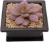8PCS/Pack Retro Style Square Small Bonsai Training Pots with Tray, Mini Plastic Mocha Garden Flower Pot 4.7"...