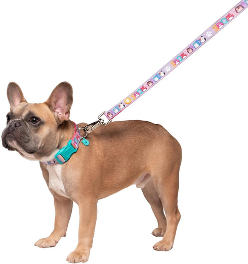Squishmallows Original Squish Squad Pet Collar (Large) - Official Jazwares Pets Walking Apparel for Dogs...