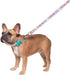 Squishmallows Original Squish Squad Pet Collar (Large) - Official Jazwares Pets Walking Apparel for Dogs...