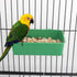 2 Pcs Pet Bird Parrot Food Bowls Small Animal Feeder Bowl Basic Dish Convenient Hanging Container for Small Bird Parrot...