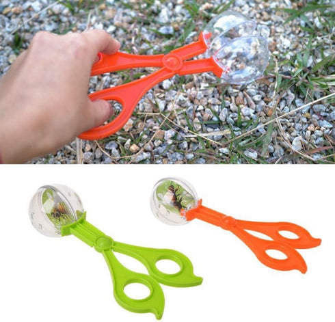 Green Catcher Plastic Outdoor Clamp Biology with Tweezer for Insect Bug Scissors Gifts Sports and Outdoor Play...