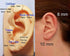 NewZenro 8Pcs Surgical Stainless Steel 16G Sleeper Cartilage Daith Tiny Small Hoop Earrings Mini Septum Hinged Clicker Nose Ring for Women Men Gir...